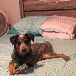 Meet your Posher, Kelsey